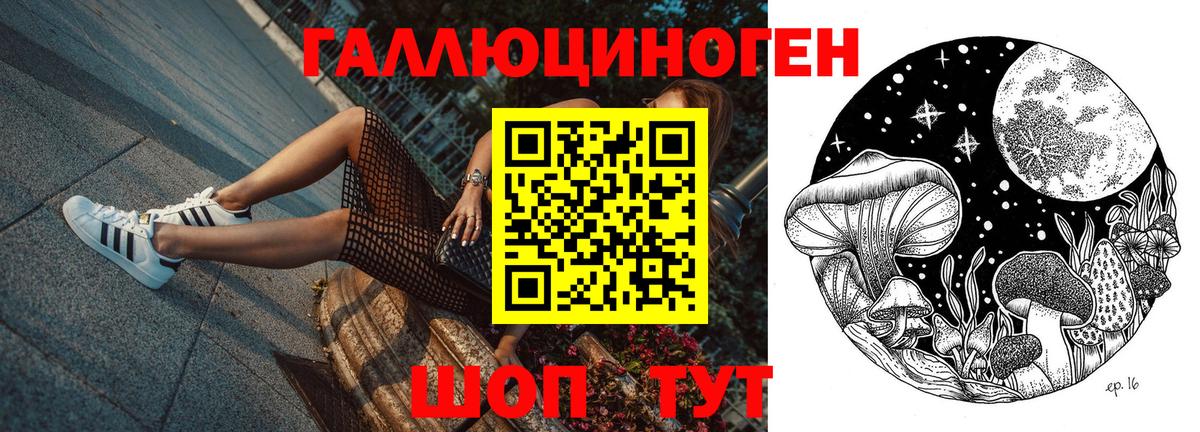 Знаменск  Галлюциногенные грибы Psilocybine cubensis  где купить наркоту  Вход с VPN 